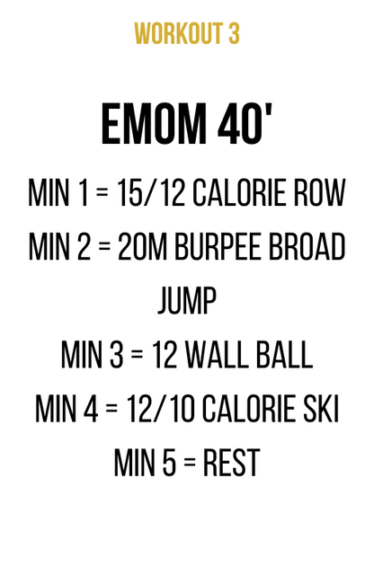 50 WORKOUTS (OPEN/PRO)